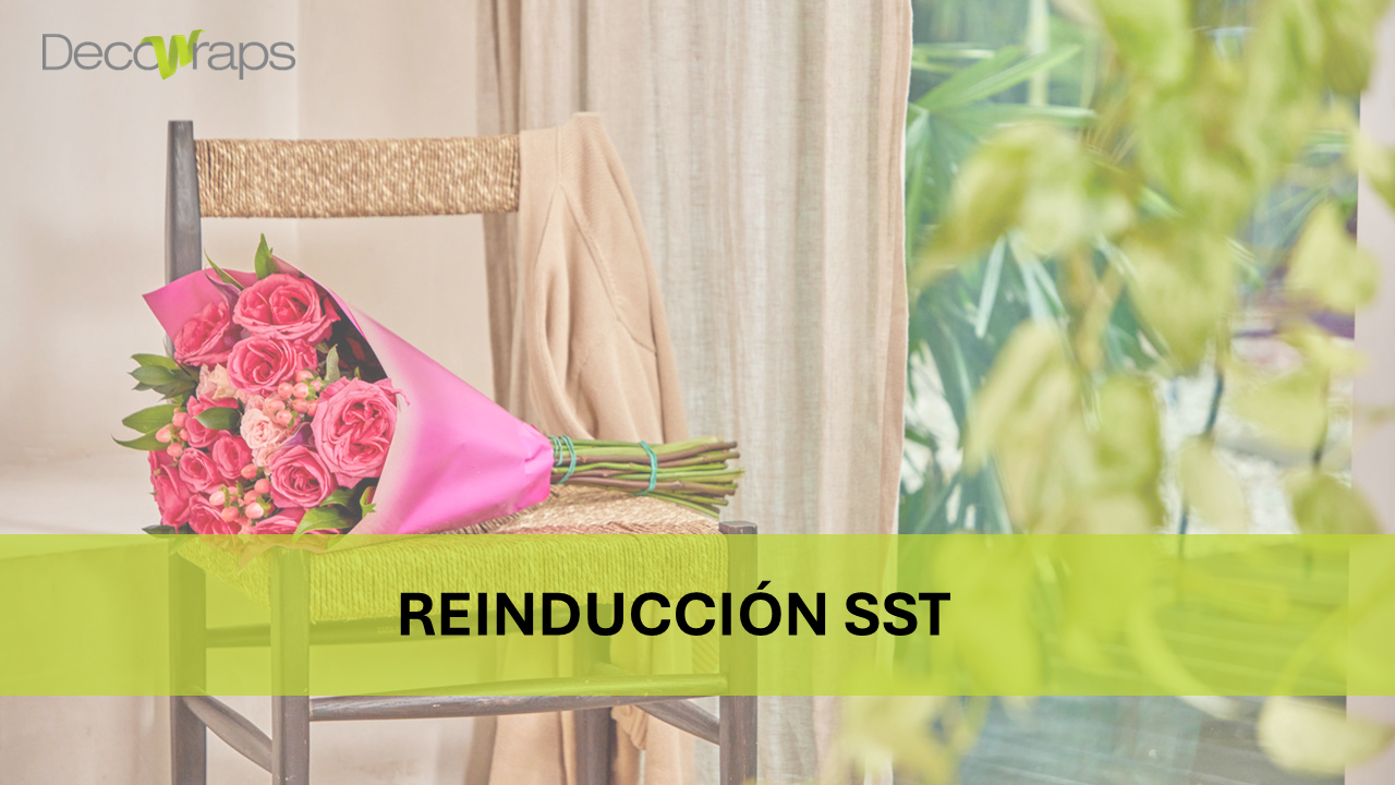 Reinducción SST